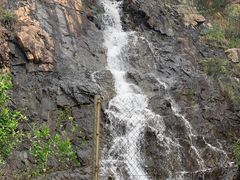 -狮子山郊野公园