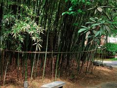 -江宁织造博物馆