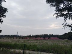 -嘉北郊野公园