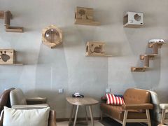 大堂-藏猫猫咖啡主题馆(中央大道店)