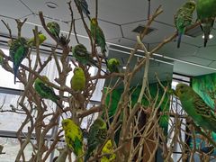 -昆明大悦城未来动物城(螺蛳湾中心店)