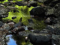 -本溪汤沟绿石谷森林公园