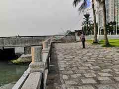 -野狸岛