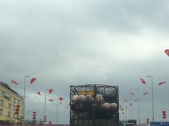 -光明小镇欢乐田园