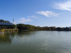 -大兴滨河森林公园