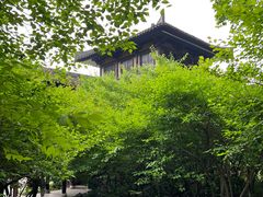 -习家池