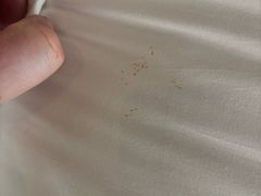 -乌苏沂疆大酒店