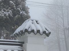 -四明山国家森林公园