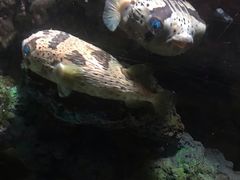 -杭州海底世界