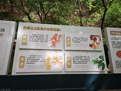 -佛慧山