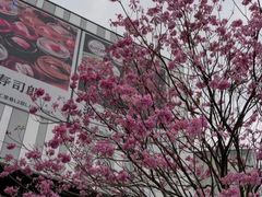 -东莞松山湖万象汇