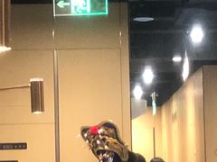 -海底捞火锅(凯德广场店)