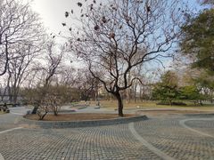 -玲珑塔公园