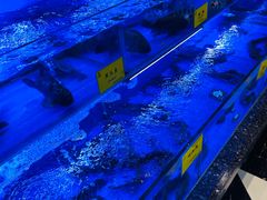-新海渔港·胶东海鲜家常菜·家宴(奥体中心店)