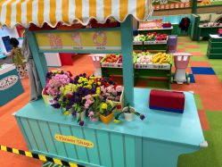 -莫莉幻想儿童乐园(武汉经开永旺店)