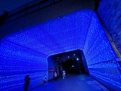 -大渡口区义渡公园