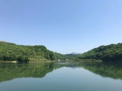 -黄椅山火山森林公园