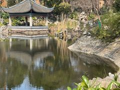 -叶家花园
