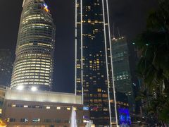 -吉隆坡国油双峰塔
