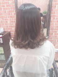 -呈美国际美肤养生艾洗造型