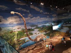 -自贡恐龙博物馆