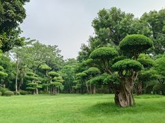 -南宁南湖公园