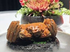 -食悦江南·淮扬菜·烤鸭(亚运村·惠新店)