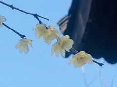 -钱王祠