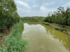 -塘沽森林公园