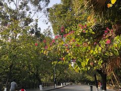 -水濂山森林公园