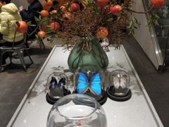 -小豆海棠(嘉兴路店)