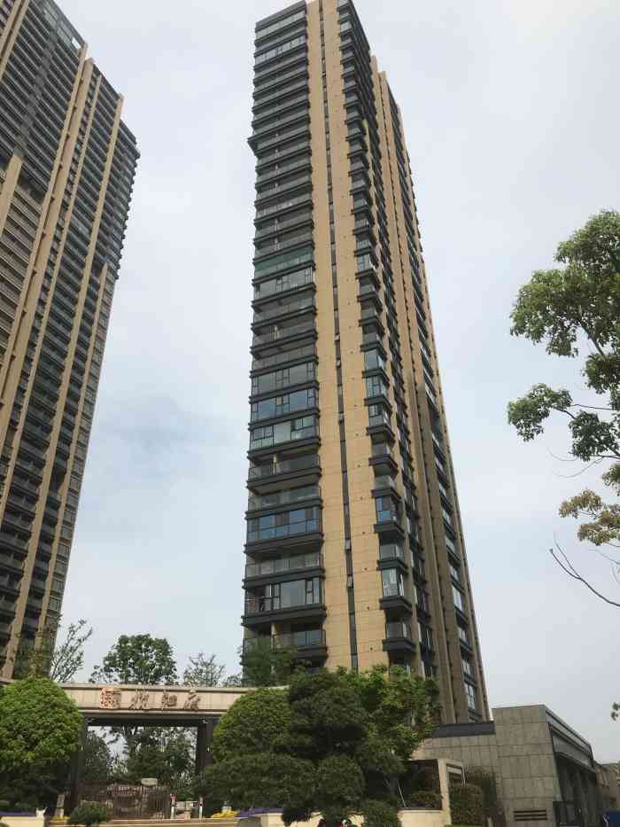 揽江府-"长江水位今年真的涨的很高,上周达到最高水."-大众点评移动版