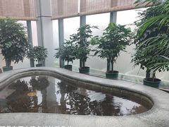 -白桦林温泉谷
