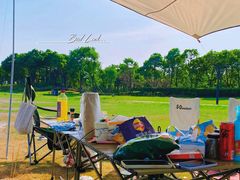 -春花秋色城市公园