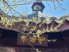 -香雪海