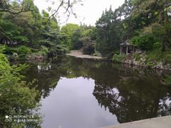 -叶家花园