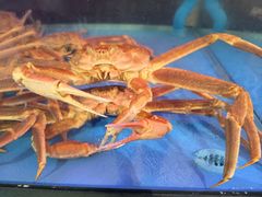 -The Boiling Crab宝灵蟹手抓海鲜(中国首店)