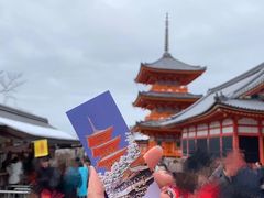 -有栖山 清光院 清水寺