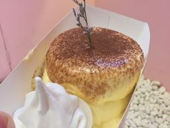 -狐狸和向日葵(北京路店)