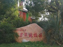 -湖北中医药大学(昙华林校区)