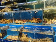 -岳各庄批发市场(西四环中路店)