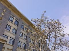 -雕刻时光咖啡馆(北师大店)