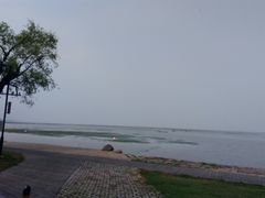 -泗洪洪泽湖湿地景区