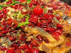 -老板恋上鱼(恒隆广场店)