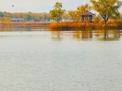 -野鸭湖国家湿地公园