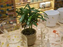 -猫的天空之城概念书店(印象城购物中心店)