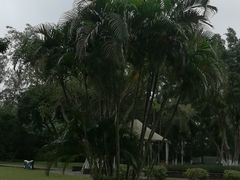 -万绿园