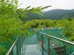 -陶祖圣境风景区