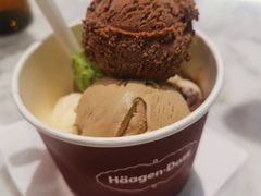 -哈根达斯(龙湖时代天街店)