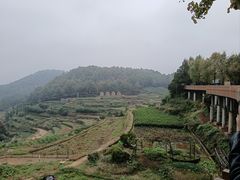 -乌石村